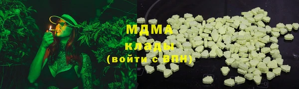 прущие грибы Абинск