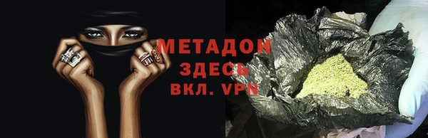 прущие грибы Абинск