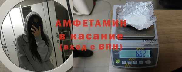 прущие грибы Абинск