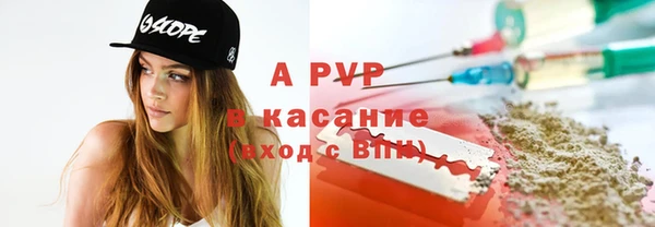 прущие грибы Абинск