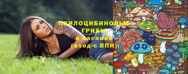 не бодяженный Абдулино