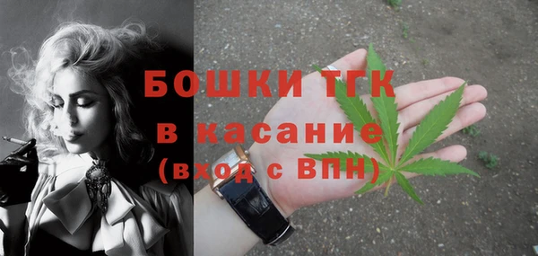 прущие грибы Абинск