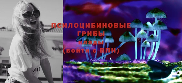 ГАЛЛЮЦИНОГЕННЫЕ ГРИБЫ Новокубанск