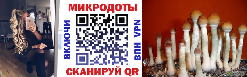 Псилоцибиновые грибы Magic Shrooms Подпорожье