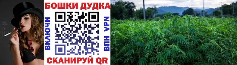 МАРИХУАНА индика Подпорожье